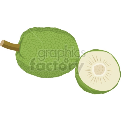 breadfruit vector clipart