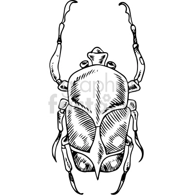 black white beetle clipart