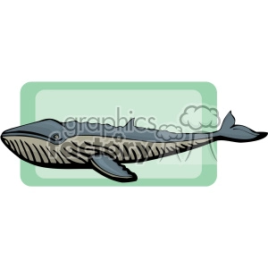 This clipart image depicts a cartoon illustration of a blue whale, which is the largest animal known to have ever existed. The whale is stylized with shading to add a sense of depth and dimension, and it is set against a light green, square background.