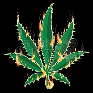 Marijuana weed leaf burning 420