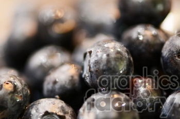 Close-up view of fresh blueberries with a blurred background.