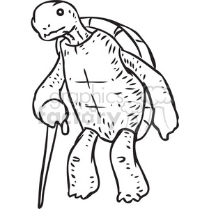 old turtle vector RF clip art images