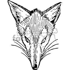 Fox Face - Detailed Line Art