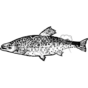 Black and white clipart image of a fish with intricate patterns and details