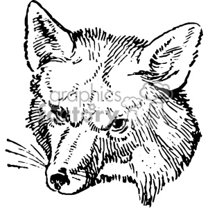 A black and white clipart image of a fox head, featuring detailed line art and shading.