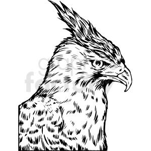 black and white realistic hawk vector clipart