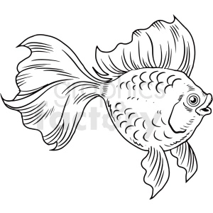 The clipart image shows a black and white, realistic depiction of a Betta fish, also known as Siamese fighting fish. The fish is shown in a profile view, with its fins fully spread and its body curved.
