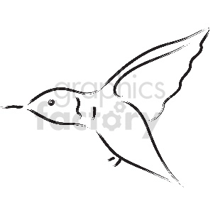 Minimalist black and white line drawing of a flying hummingbird.
