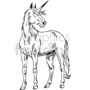 Realistic unicorn black and white clipart