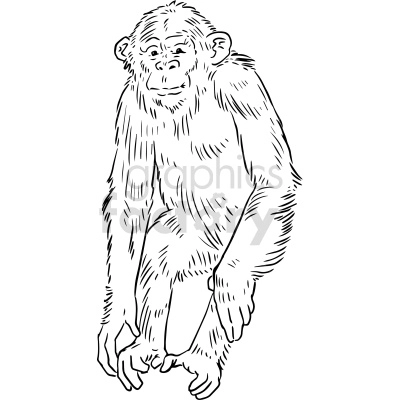 The clipart image depicts a black and white illustration of a chimp or chimpanzee. The chimp is shown in a standing position, facing forward with its arms hanging down at its sides. The image has a stylized, cartoon-like appearance and is composed of simple lines and shapes.
