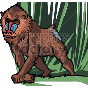 The clipart image shows a baboon in a jungle or forest setting. It is walking on all fours, and moving towards you. 