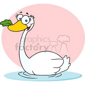  Swan A swimming 