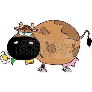 The clipart image shows a cartoon cow with a comical appearance. The cow has a large round body with brown spots, a big black snout with light pink cheeks, and is chewing on a daisy flower. It's wearing glasses, which gives it a humorous and quirky look, and has horns that appear small in proportion to its head. The cow is standing on all fours and has a bell hanging around its neck. This cow would typically be seen in funny greeting cards, children's books, or as a part of comedic farm-themed artwork.