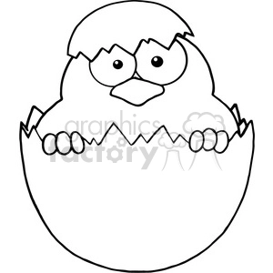 Royalty-Free-RF-Copyright-Safe-Surprise-Yellow-Chick-Peeking-Out-Of-An-Egg-Shell