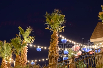 Tropical palm trees with string lights and colorful lanterns during nighttime.