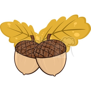 Two Acorn With Oak Leaves Cartoon Illustrations