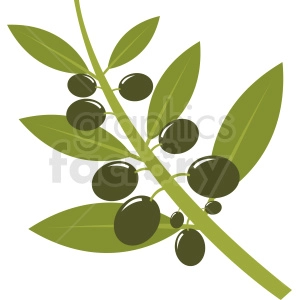vector olive branch clipart