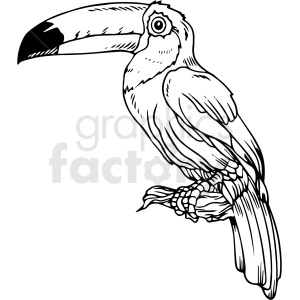 The clipart image depicts a black and white vector illustration of a toucan bird. It has a large colorful beak, black body, and white chest. The bird is in a standing position with its wings folded and head turned to the left. The image may be suitable as a design for a tattoo or other creative purposes.
