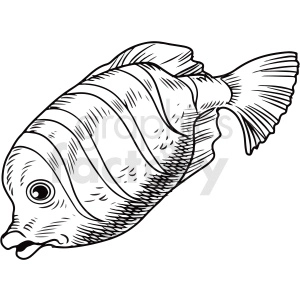 black white realistic fish clipart