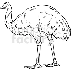 A black and white clipart image of an emu, showcasing its long neck and legs, and fluffy body.