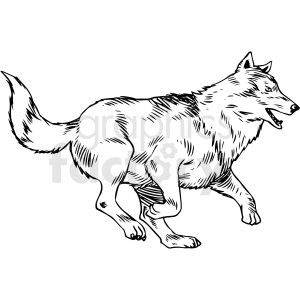black and white wolf running vector clipart