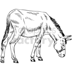 The image shows a black and white line art clipart of a donkey (also known as a jackass) in a grazing position, with its head lowered towards the ground as if it is feeding.