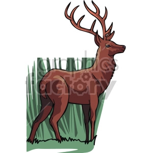 The clipart image depicts a male deer, also known as a buck or elk, facing right with its head held high and antlers visible. The animal is portrayed in a simplified cartoon style with bold outlines and solid colors.
