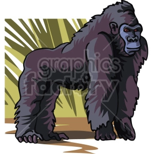 Gorilla standing on all fours