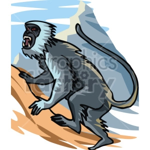 Macaque monkey showing its teeth