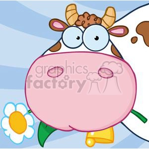 The clipart image shows a humorous cartoon cow with an oversized, pink muzzle. The cow has big, googly eyes and a happy expression. The cow's horns and ears are visible, and it has a pattern of brown spots. In the lower left corner, there's a stylized white flower with a yellow center and green stem, indicating that the cow may have been eating or is about to eat the flower. The background has a pattern of diagonal blue and lighter blue stripes.