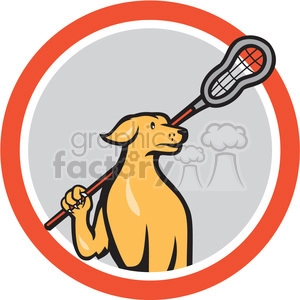 dog holding lacrosse stick