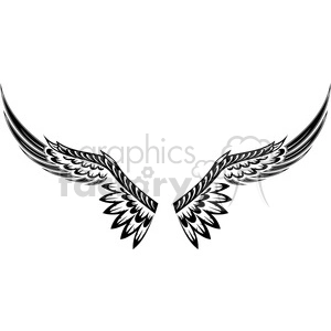 Stylized Black and White Wings
