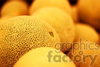 A close-up image of several cantaloupe melons with textured surfaces, showing detailed netting patterns. The melons appear fresh and ripe.