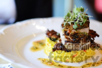 A close-up image of a gourmet dish featuring a piece of grilled fish placed on a bed of colorful risotto with herbs garnished on top, all served on a white plate.