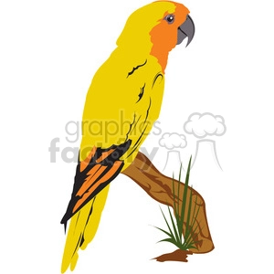 A colorful clipart image of a parrot with vibrant yellow and orange feathers perched on a branch with grass.