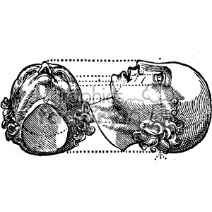 Vintage Anatomical Illustration of Human Head and Neck