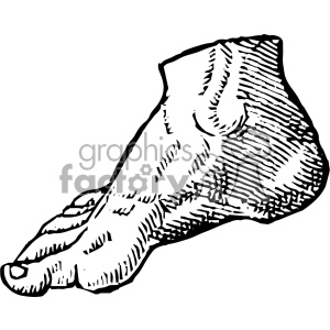 A black and white clipart image of a human foot with intricate line details and shading.