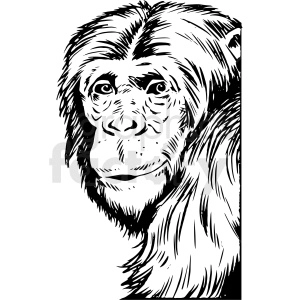 The clipart image is a black and white, realistic depiction of a chimpanzee. It appears to be designed for use as a tattoo or other similar application.
