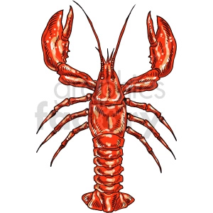 lobster clipart