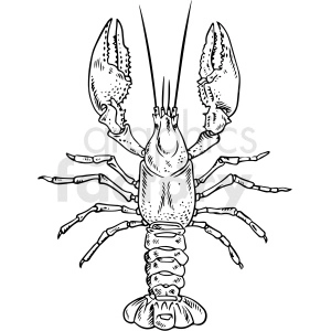 black and white lobster vector clipart