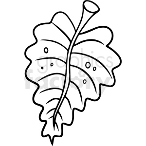 cartoon leaf black white vector clipart