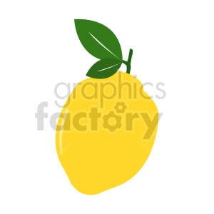 lemon vector illustration