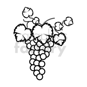 black and white grape clipart