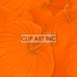 A clipart image featuring a close-up view of several orange pumpkins. The image highlights the stems and the ribbed texture of the pumpkins.
