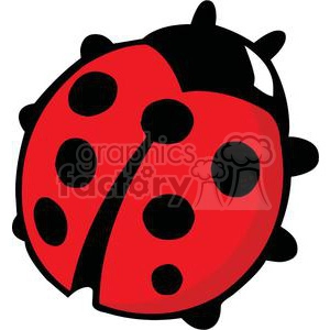 red ladybug with 7 black spots and 6 legs