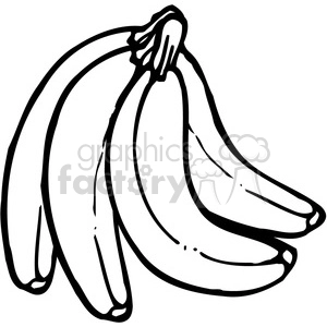 Banana 3 Bunch