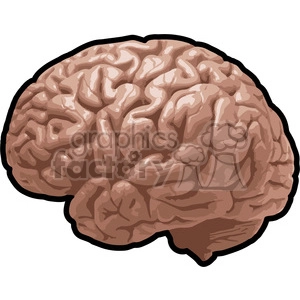 The image is a clipart representation of a human brain. It's a detailed illustration showing the folds and grooves typically found on the cerebral cortex.