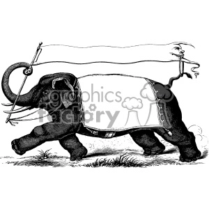 Vintage 1880 circus elephant carrying banners vector vintage 1900 vector art GF