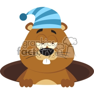 Cartoon Groundhog with Sleeping Cap