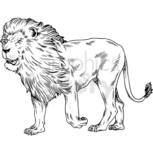 black and white lion vector clipart